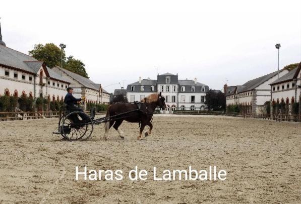 Perle Rare, Appartement Paisible Et Cosy Lamballe Esterno foto